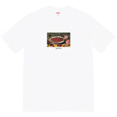 Supreme Strawberry Fruit Plate Print T-Shirt